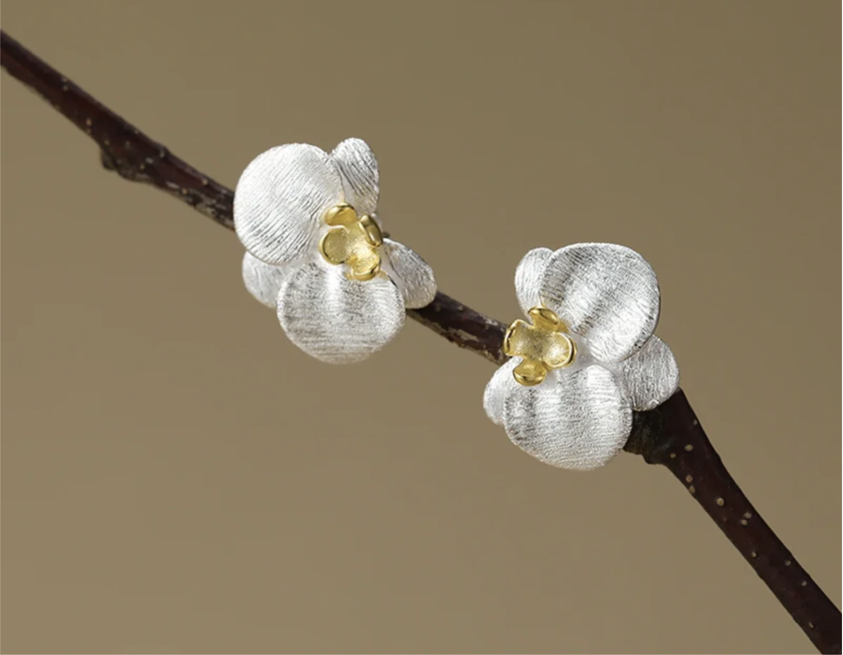 ARETES ORQUIDEA